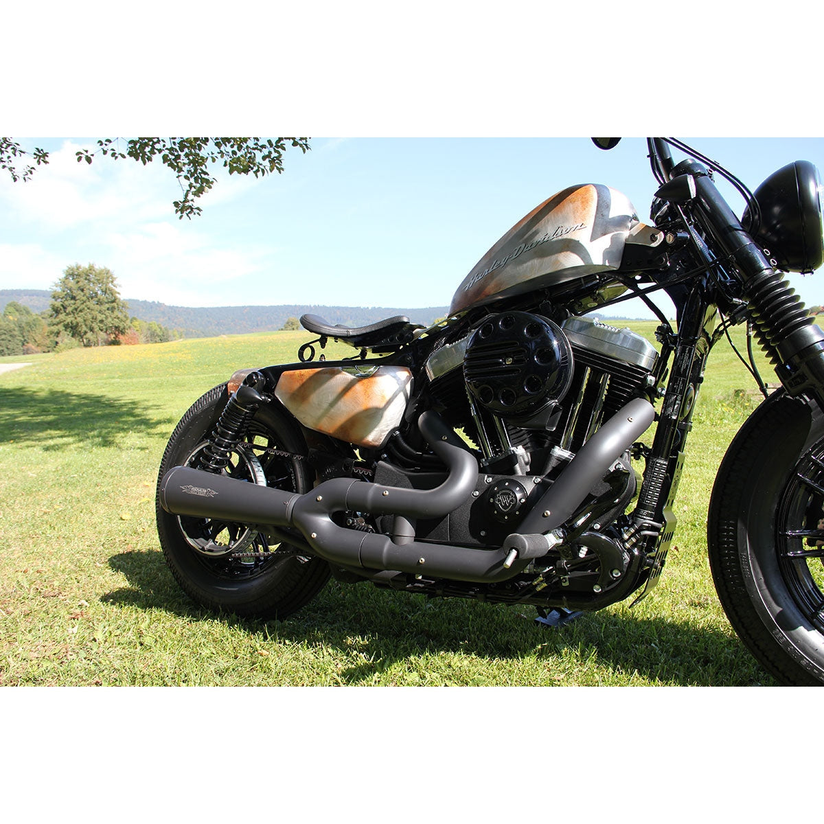 Cult-Werk Air filter cover SLOTTED Sportster 2016+