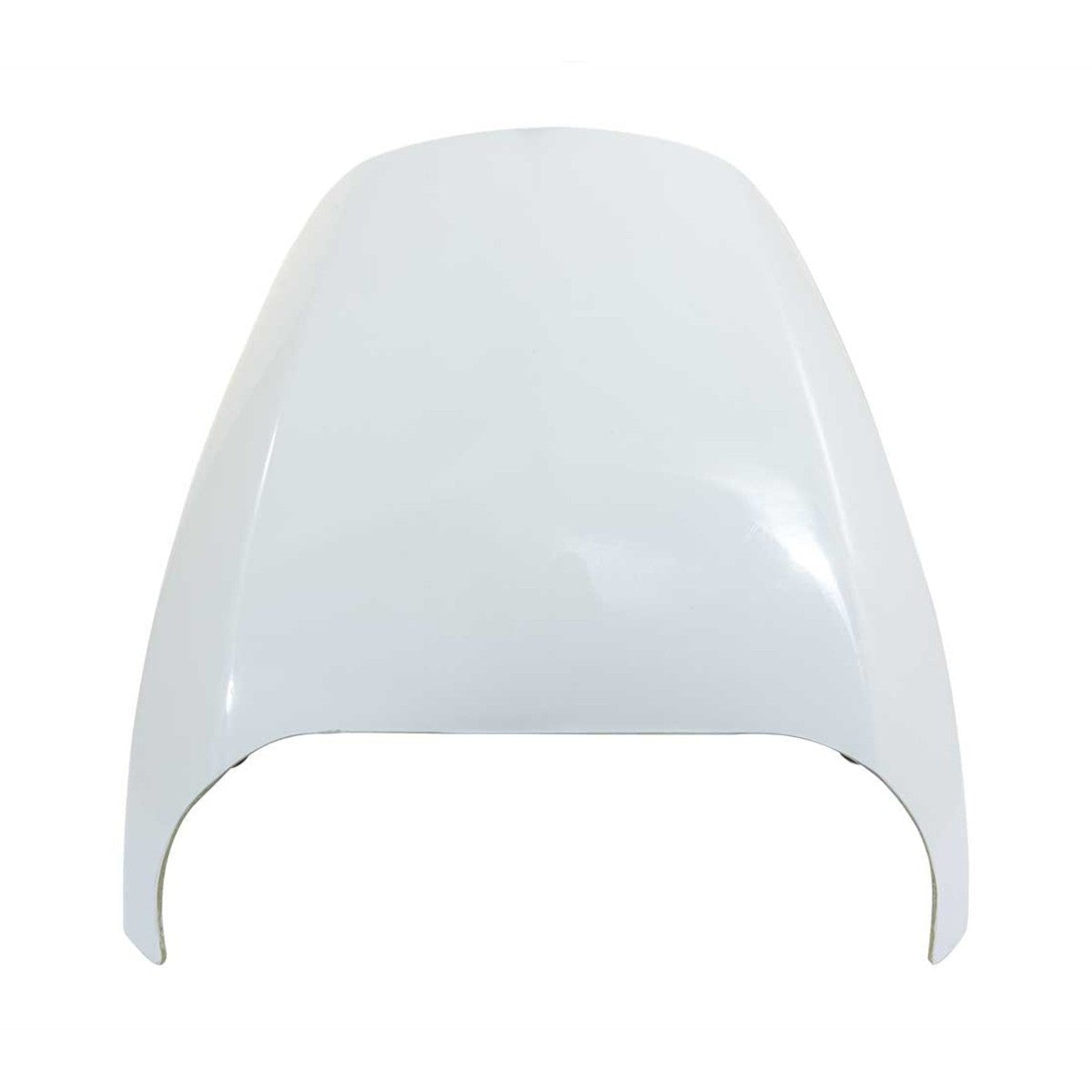 Rick's Headlight Fairing (Sportster S)