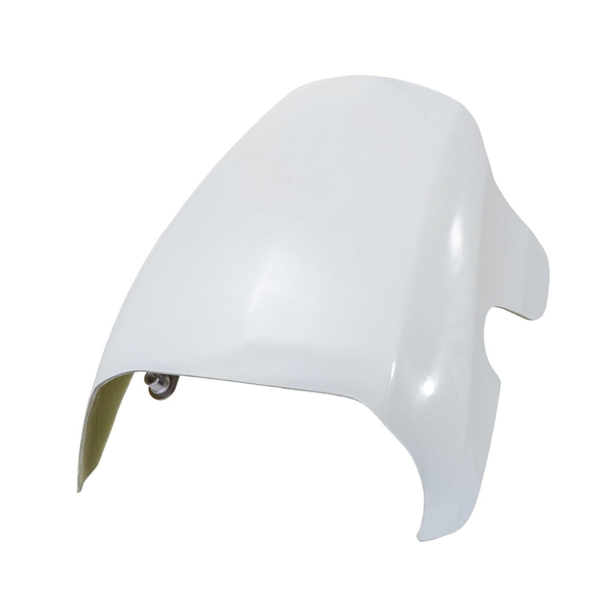 Rick's Headlight Fairing (Sportster S)