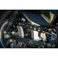 Rick's Belt Cover (Sportster 2009+)