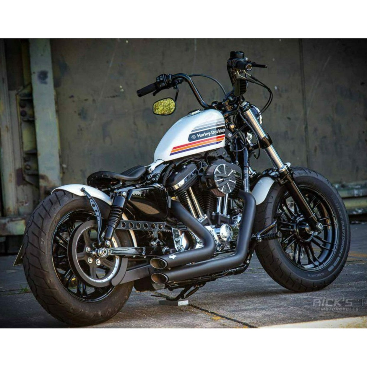 Rick's Belt Cover (Sportster 2009+)