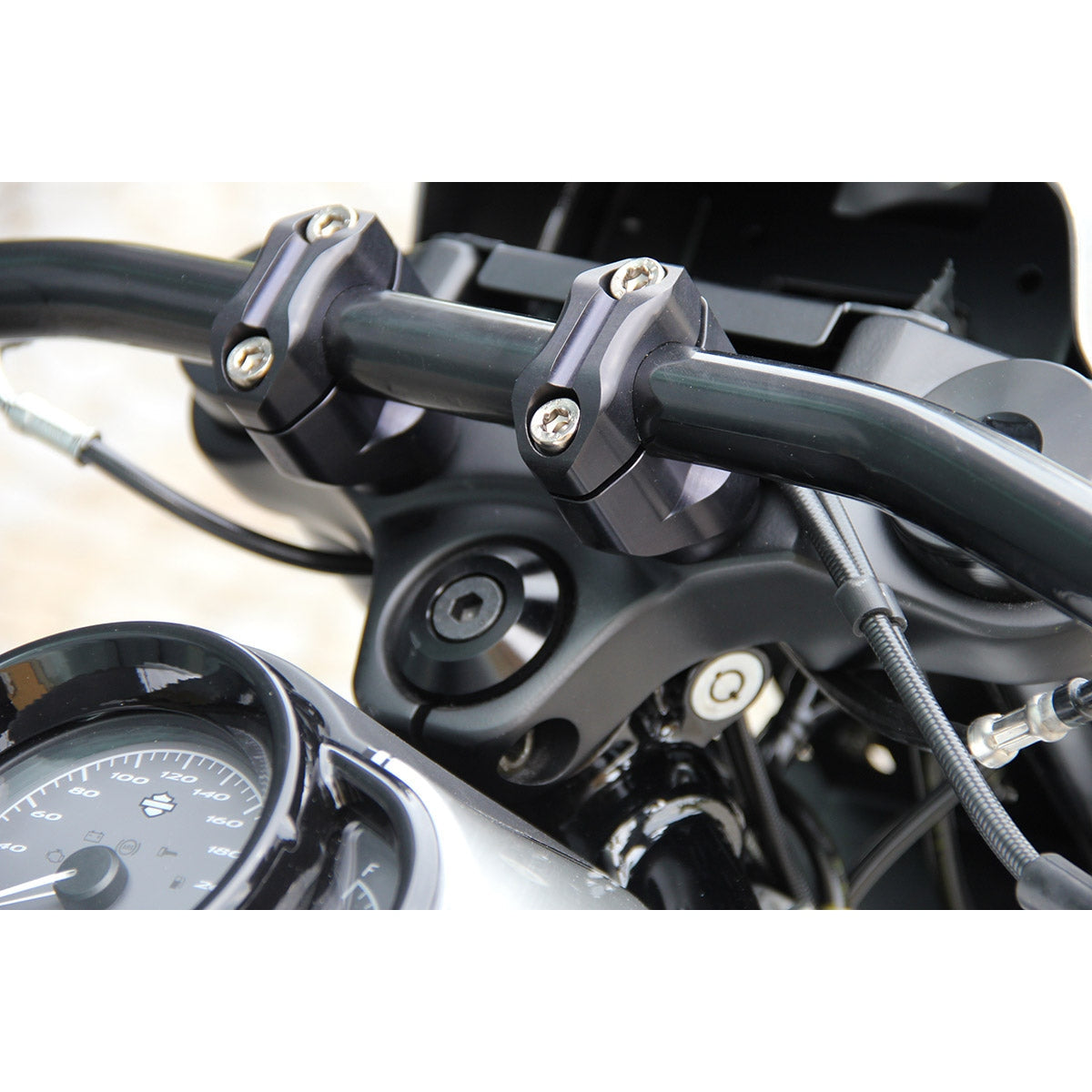 Cult-Werk Riser V-Rod & Night Rod Special 2002-2017
