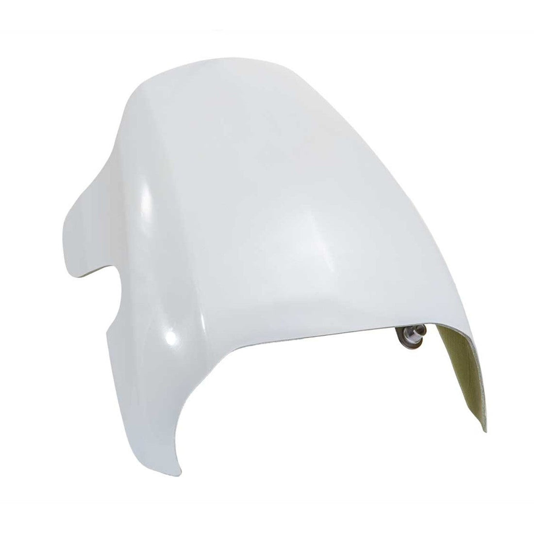 Rick's Headlight Fairing (Sportster S)