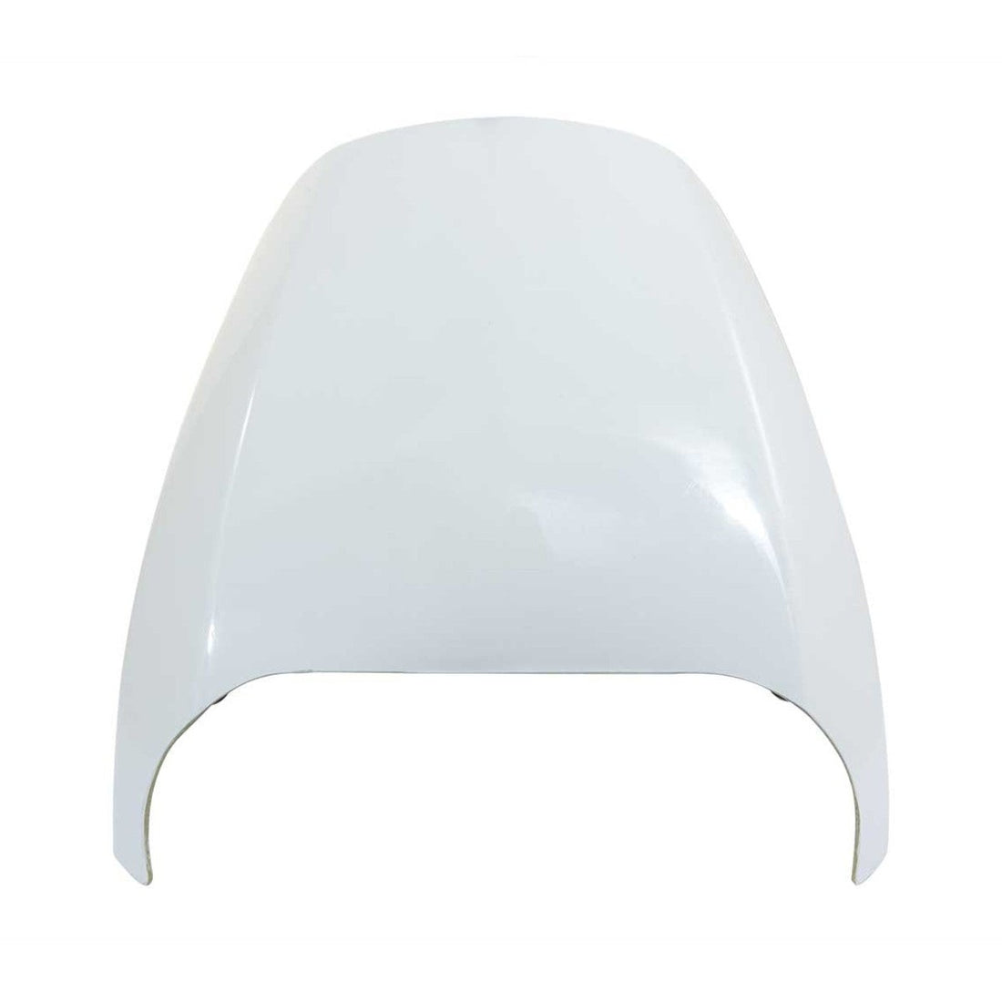 Rick's Headlight Fairing (Sportster S)