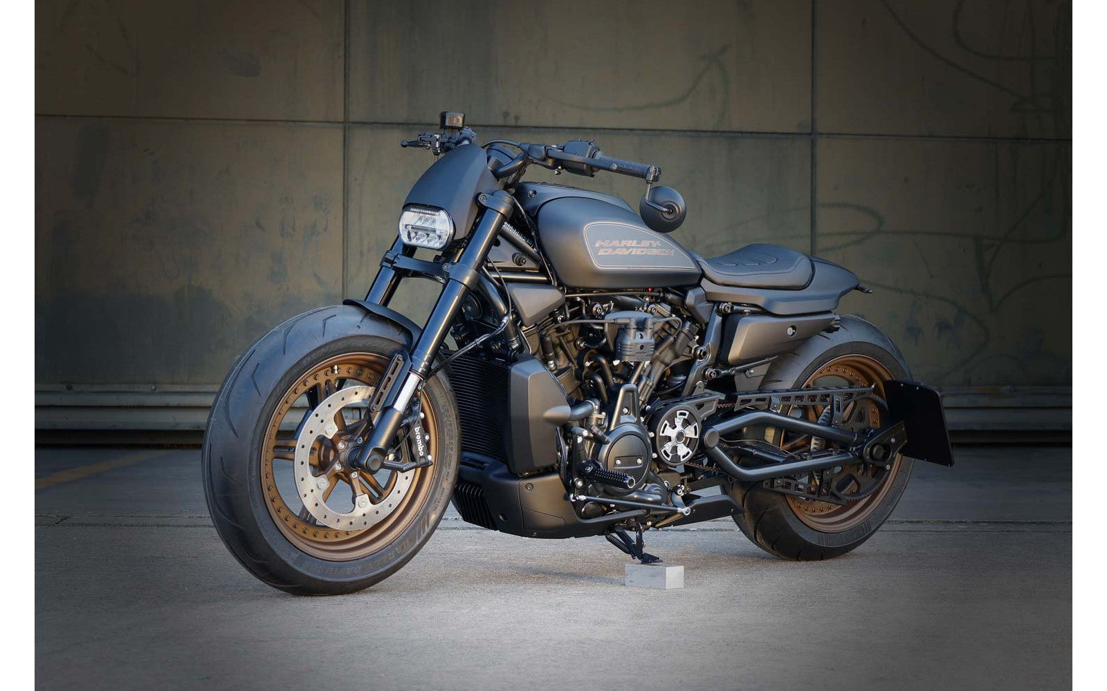 Rick's License Plate Holder - Sportster S 21-up