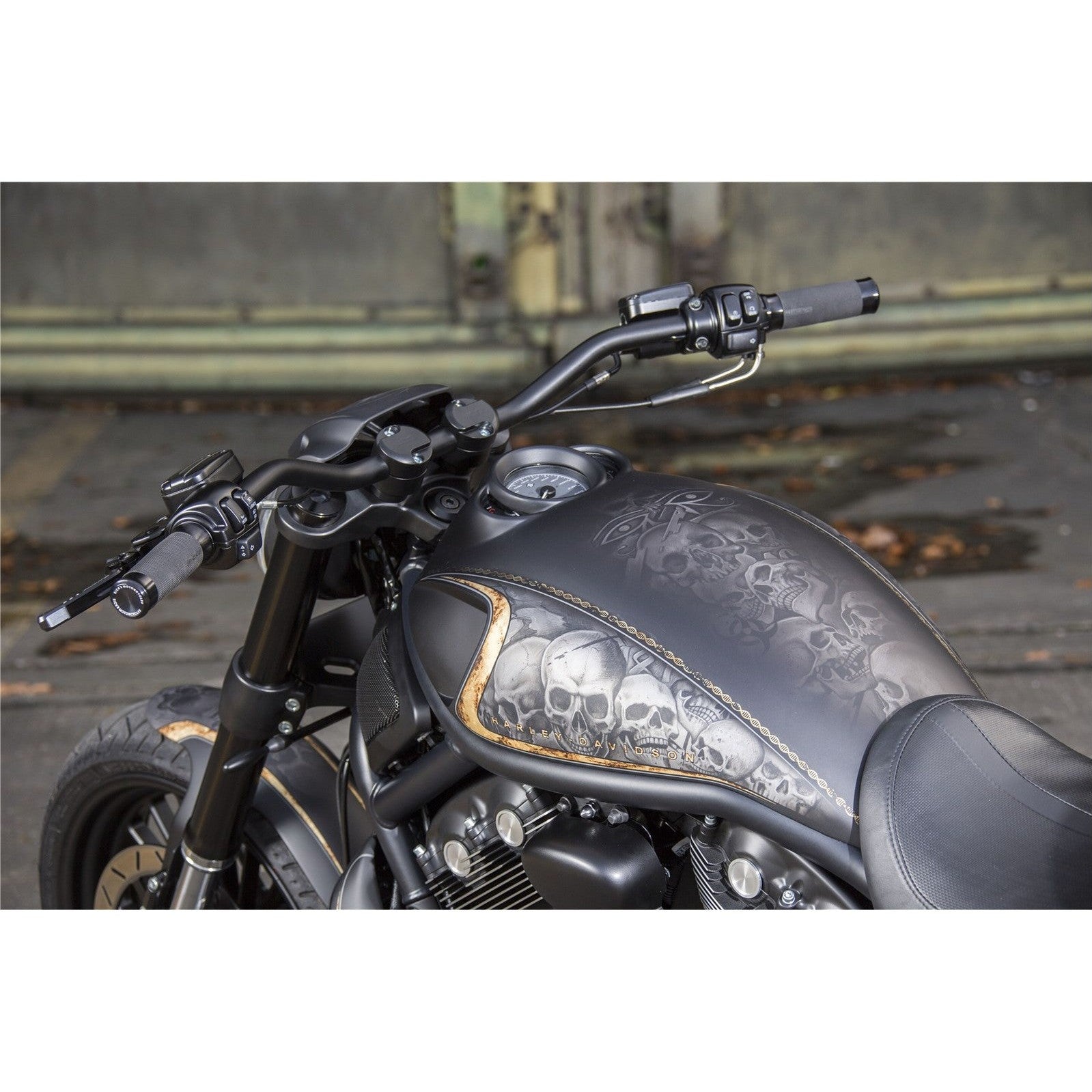 Rick's Airbox Cover "Race" (V-Rod)