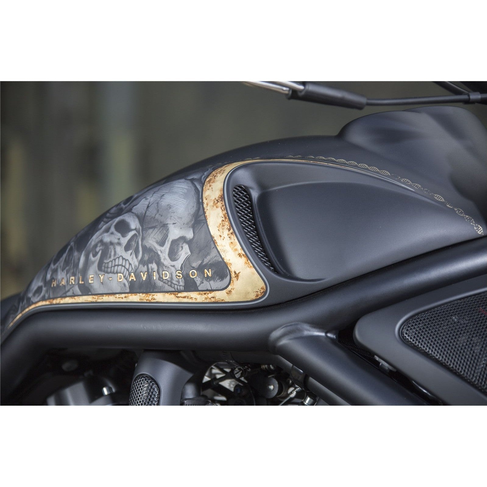 Rick's Airbox Cover "Race" (V-Rod)