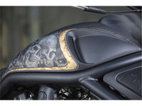 Rick's Airbox Cover “Race” - V-Rod 02-17